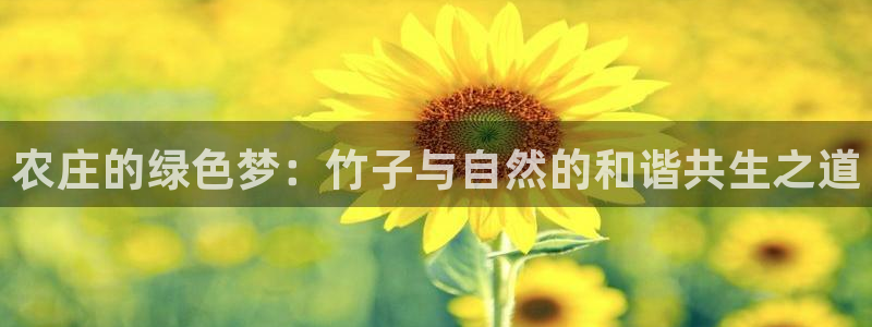 试玩pg电子y后之谜