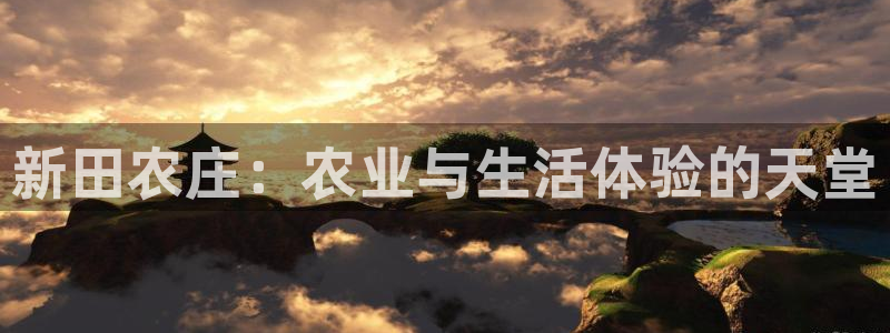 pg电子输了30万