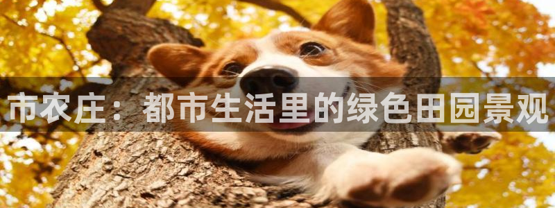 pg电子游戏控制输赢