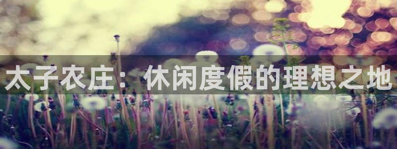 pg电子不凡成就非凡