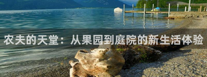 pg电子可以控制吗
