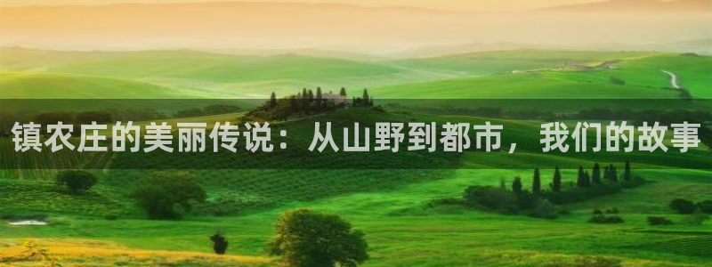 pg官方电子平台