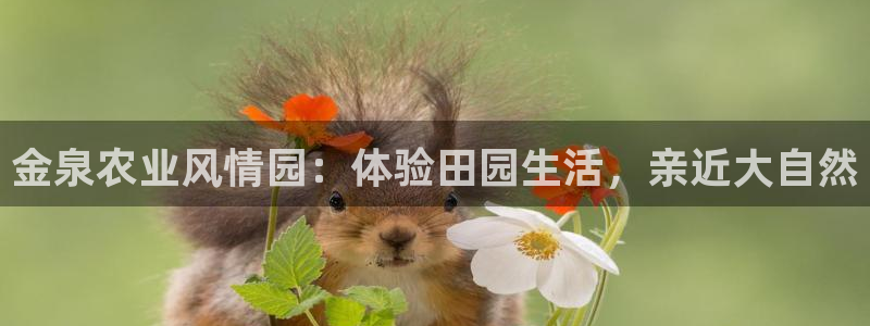 pg电子游戏爆分平台