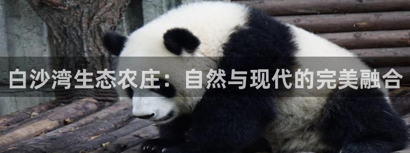 pg电子少林足球试玩