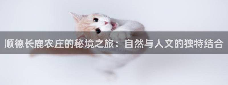 pg电子登录入口