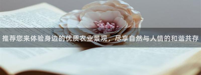 pg电子少林足球攻略
