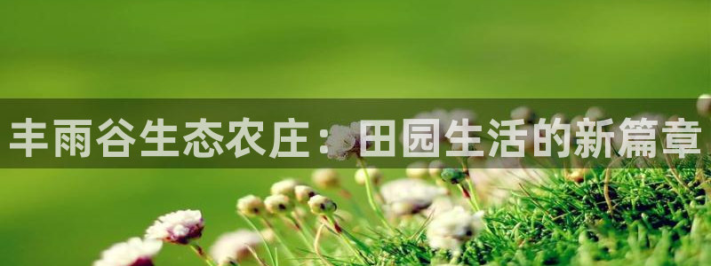 pg福运象财神电子游戏