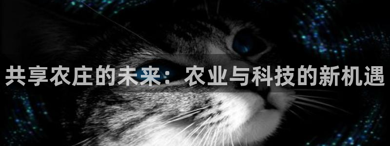 pg电子吃分破解