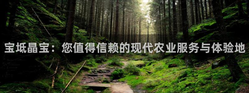 高爆率pg电子网址
