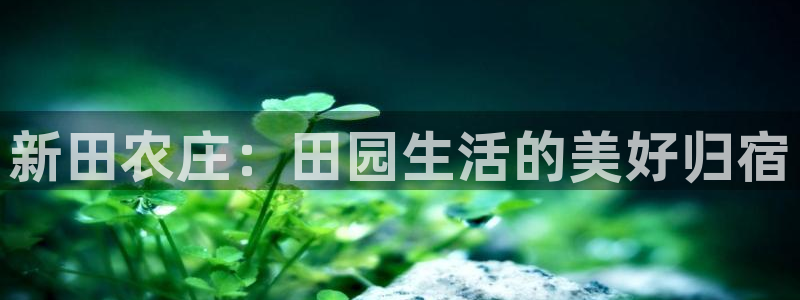 pg电子试玩账号