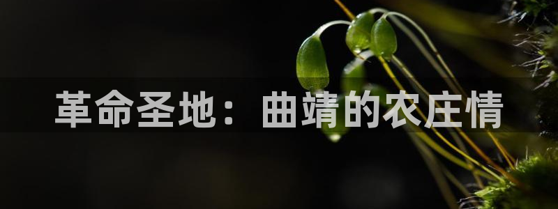 pg电子哪个平台靠谱