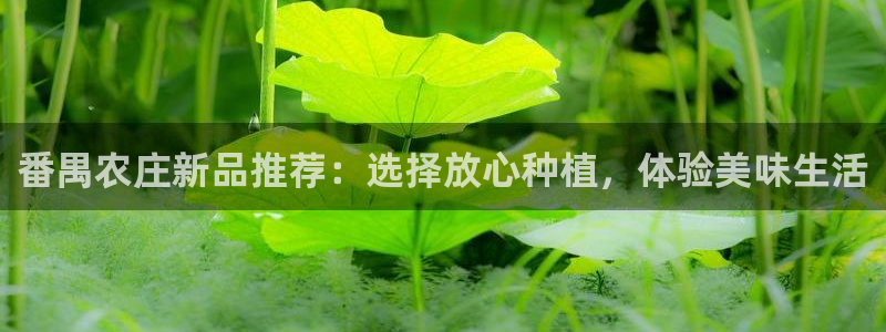pg电子平台开户