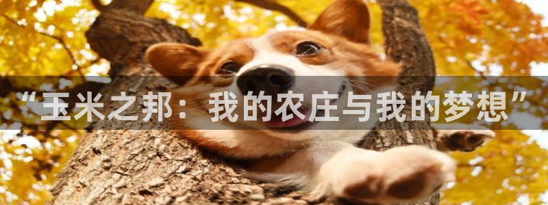 pg电子免费试玩网站