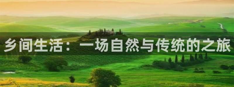 pg电子斗鸡爆分