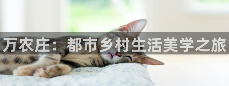 pg电子软件下载