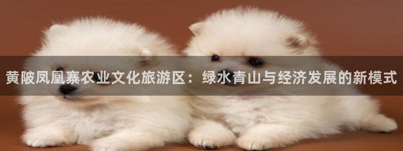 pg电子麻将胡胡了输