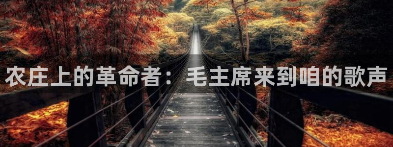 PG电子棋牌