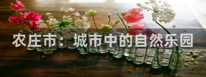 pg电子为什么老是维护