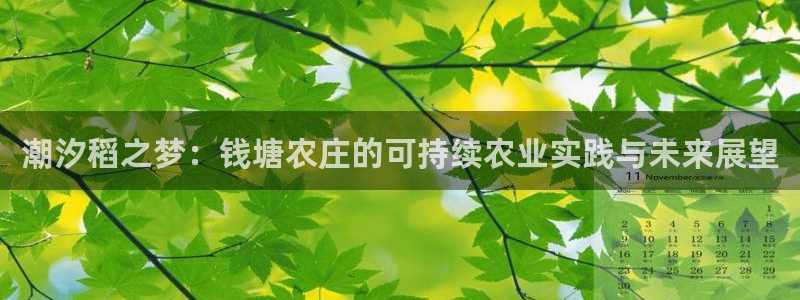pg电子跑路