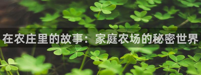 最新pg电子爆分视频