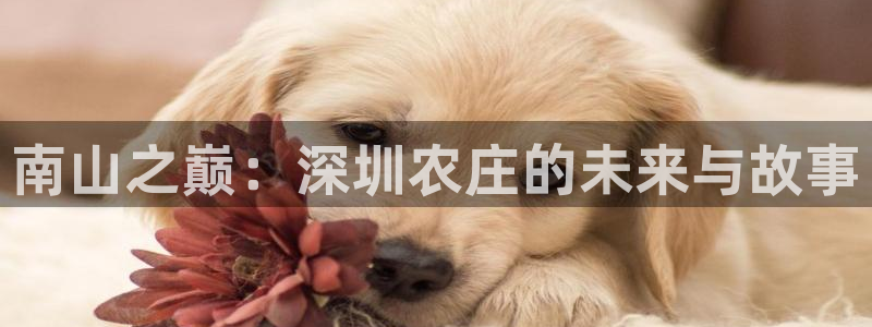 pg电子游戏在线试玩版