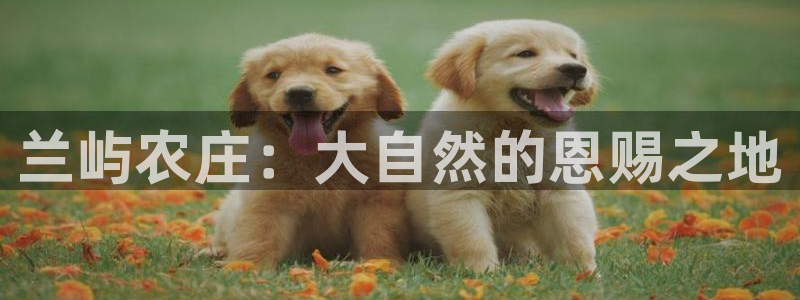 pg电子秘籍