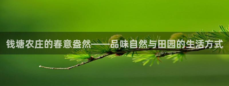 pg电子试玩模式网址