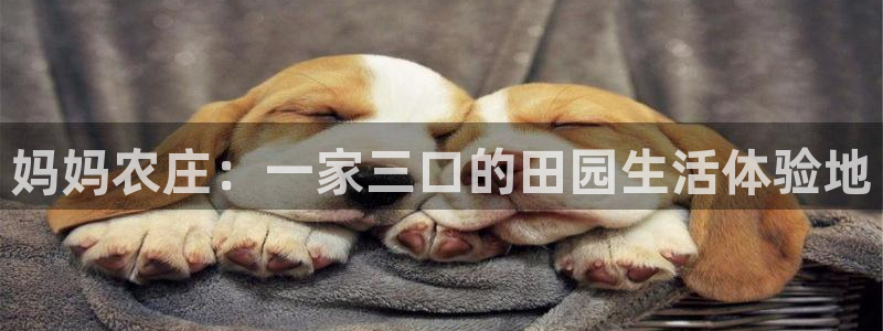 澳门pg电子网站
