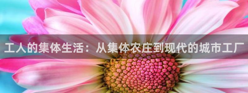 pp电子和pg电子