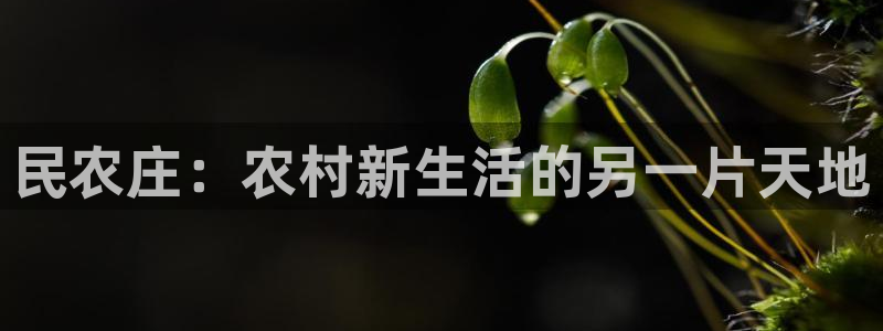 电子pg试玩官网