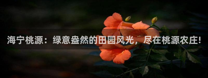 亚博pg电子怎么玩