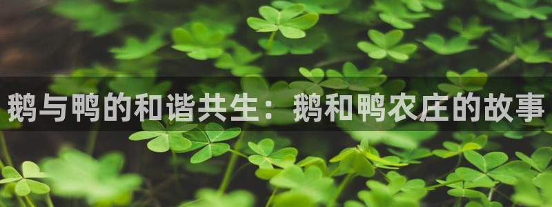 PG电子怎么回血
