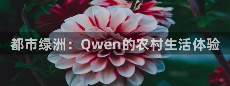 PG电子平台网址