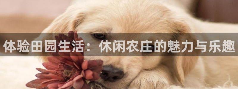 PG免费体验电子试玩