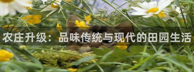 电子游戏pg新平台