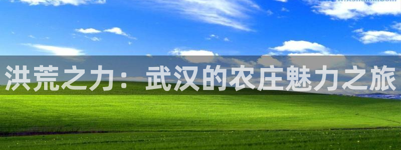 pg20k电子鼓