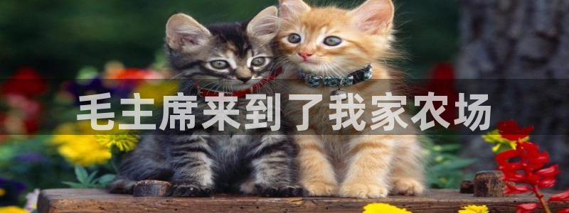 pg电子APP下载首页