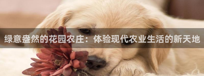 PG电子官网欣ly79