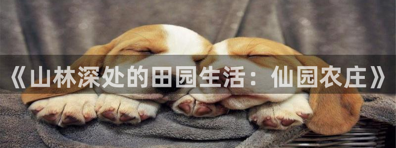 pg电子阿拉丁神灯攻略