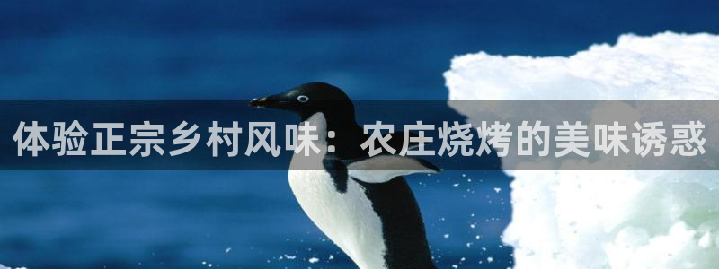 pg电子试玩网