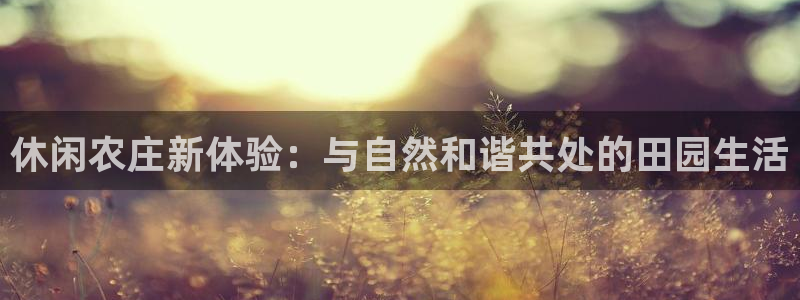 Pg电子卡活动
