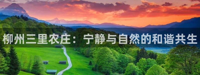 pg电子游戏象财神技巧