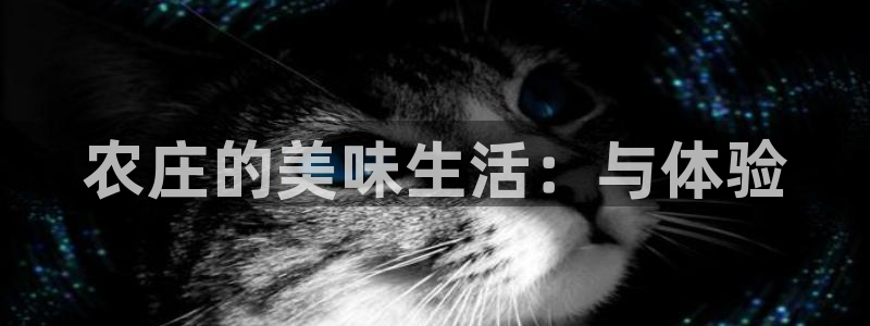 麻将胡了2pg电子下载