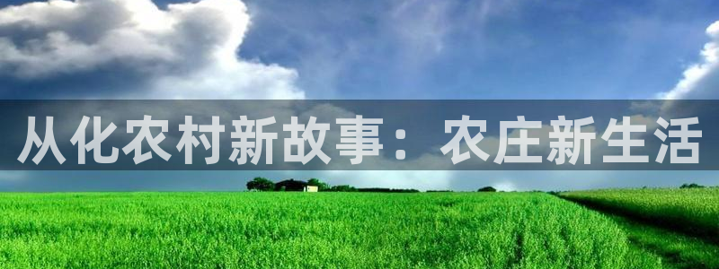 pg电子玩法心得