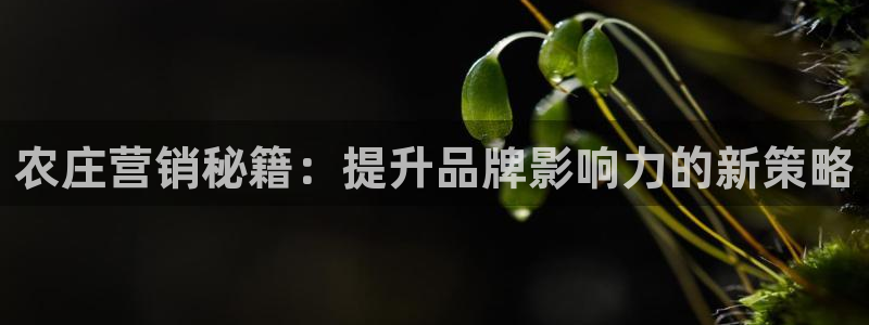 pg电子可靠软件