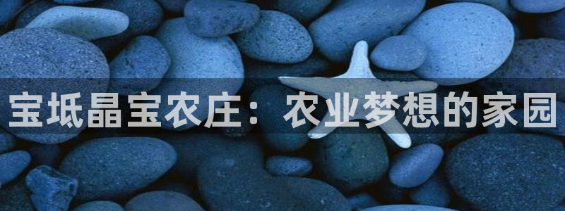 pg电子注单未返回