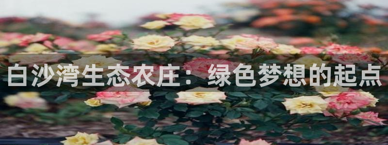 pg电子俱乐部旗下