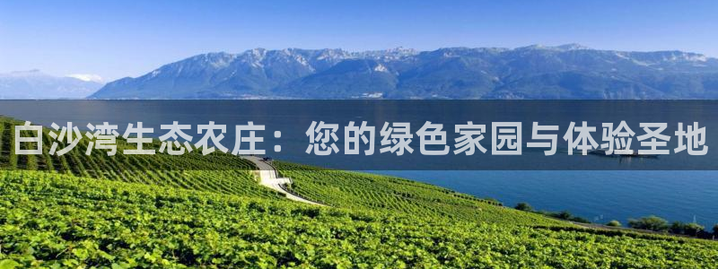 pg电子平台登录