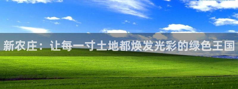 PG电子官网入口