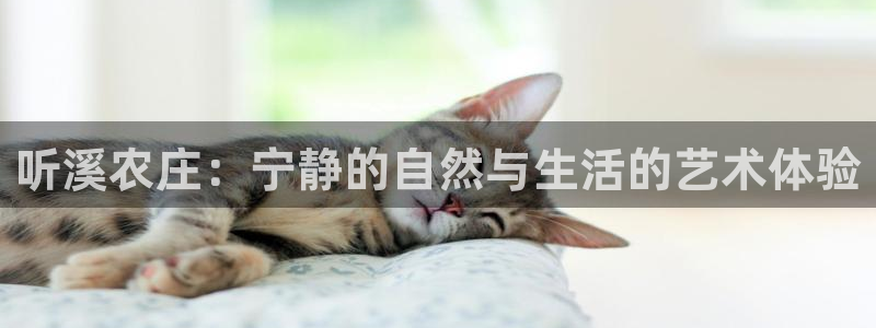 网络上的电子赌博PG